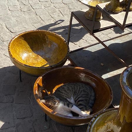 Villa Louisa Piscine Privee Sans Vis A Vis Dyar Shemsi Tarudant Kültér fotó