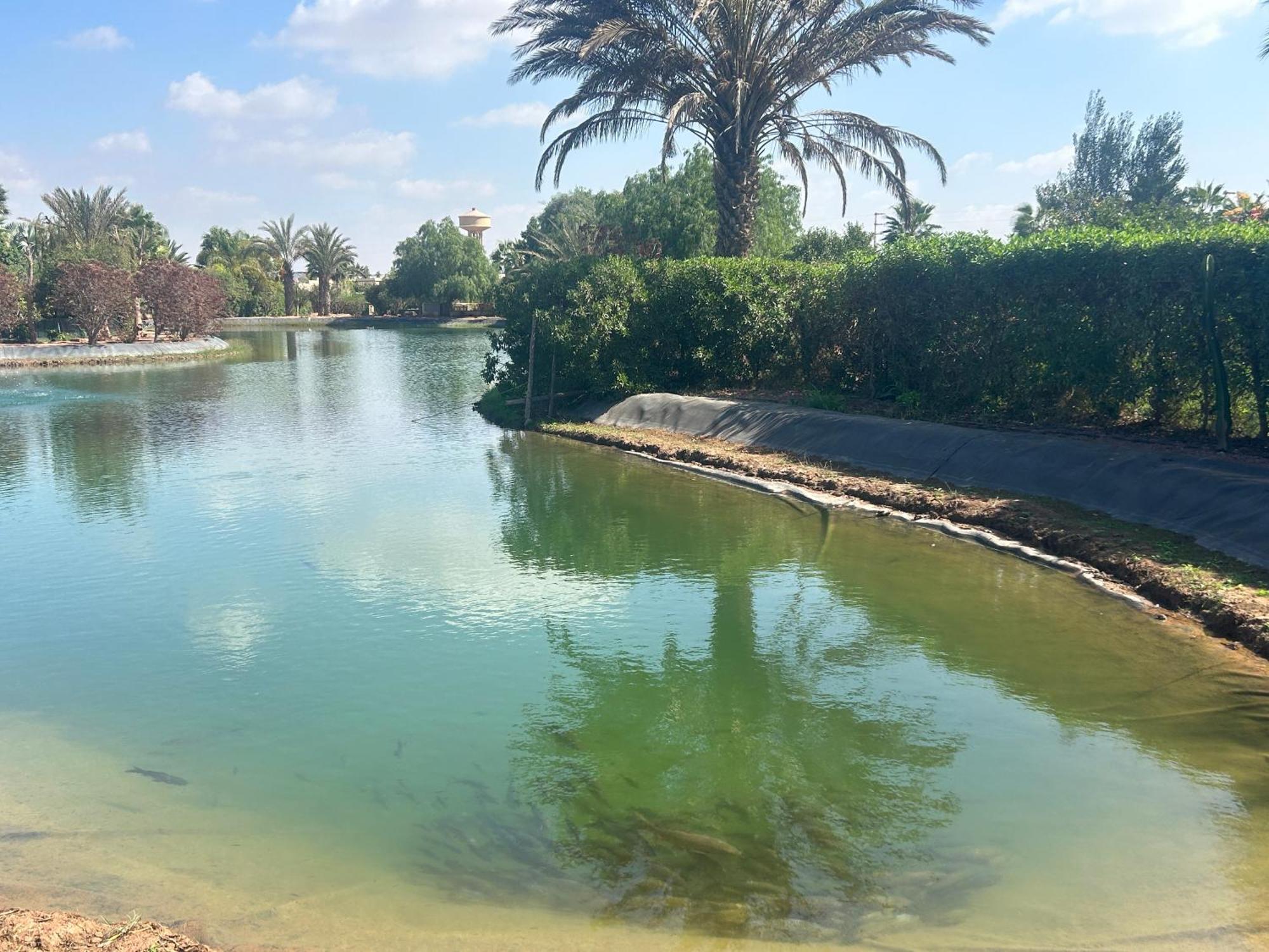 Villa Louisa Piscine Privee Sans Vis A Vis Dyar Shemsi Tarudant Kültér fotó